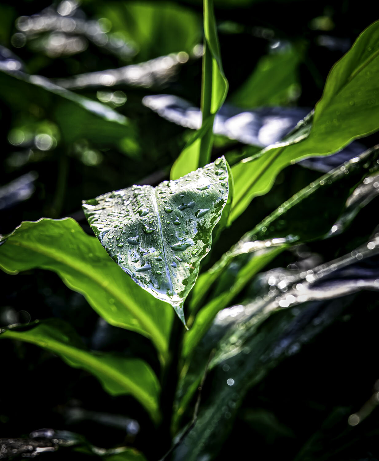 Photo #14086838