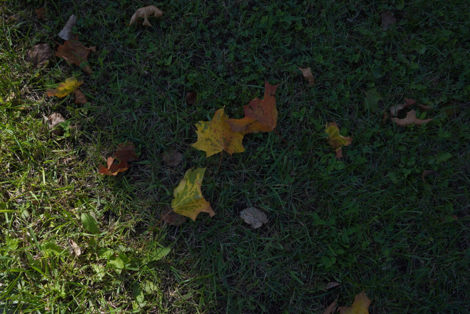 Photo #14086867