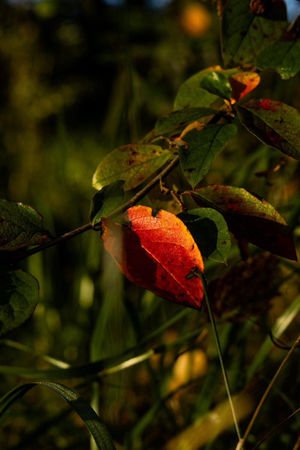 Photo #14086869