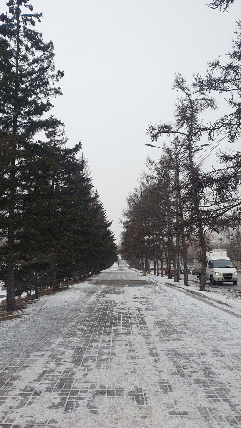 Photo #14086898