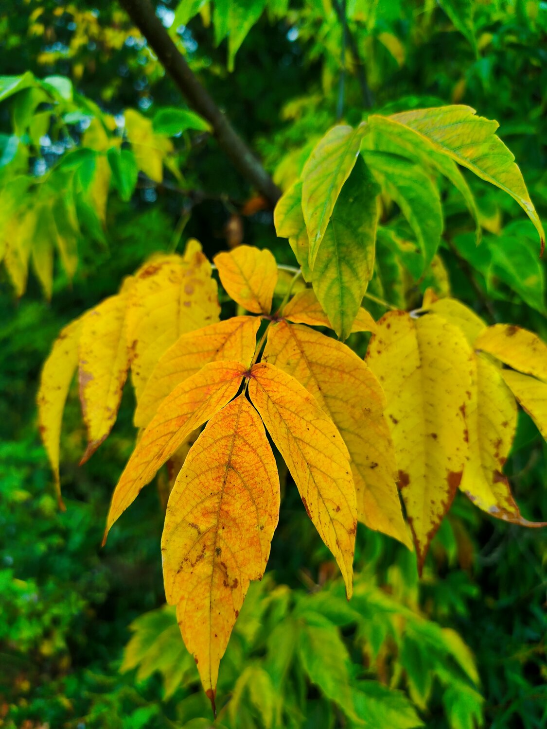 Photo #14086971