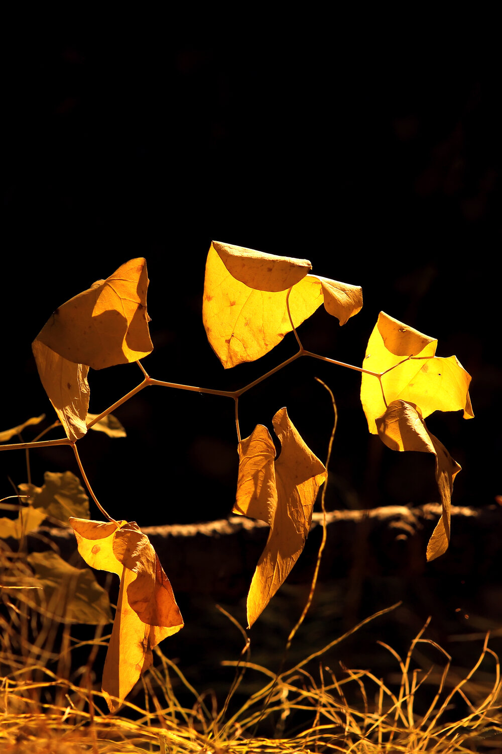 Photo #14087022