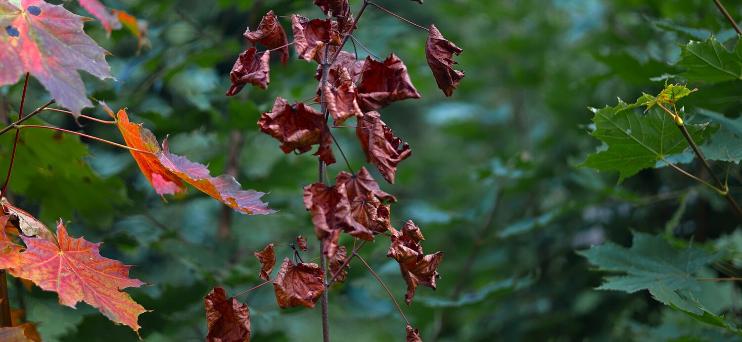 Photo #14087097