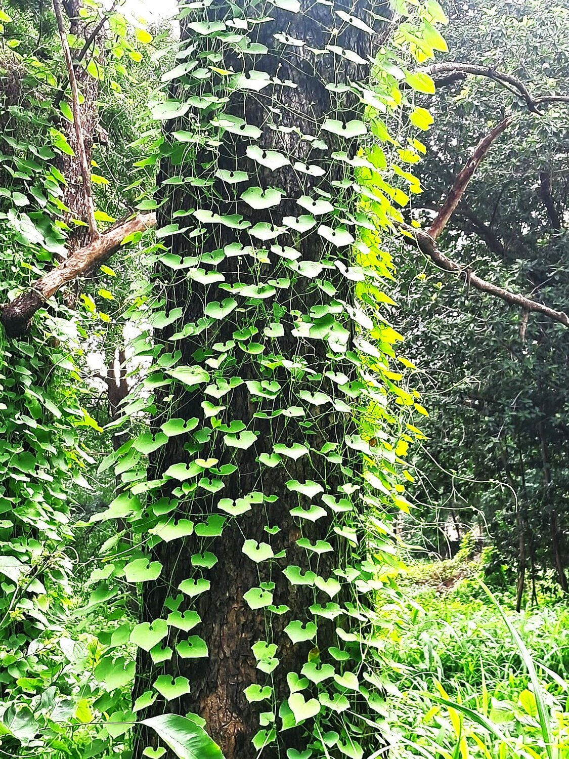 Photo #14087205