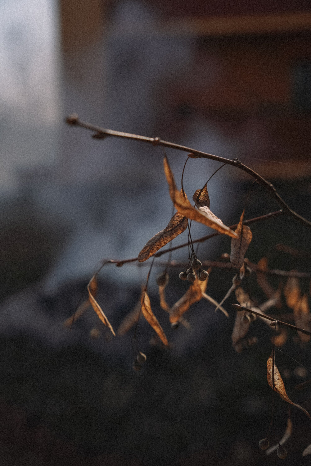 Photo #14087222