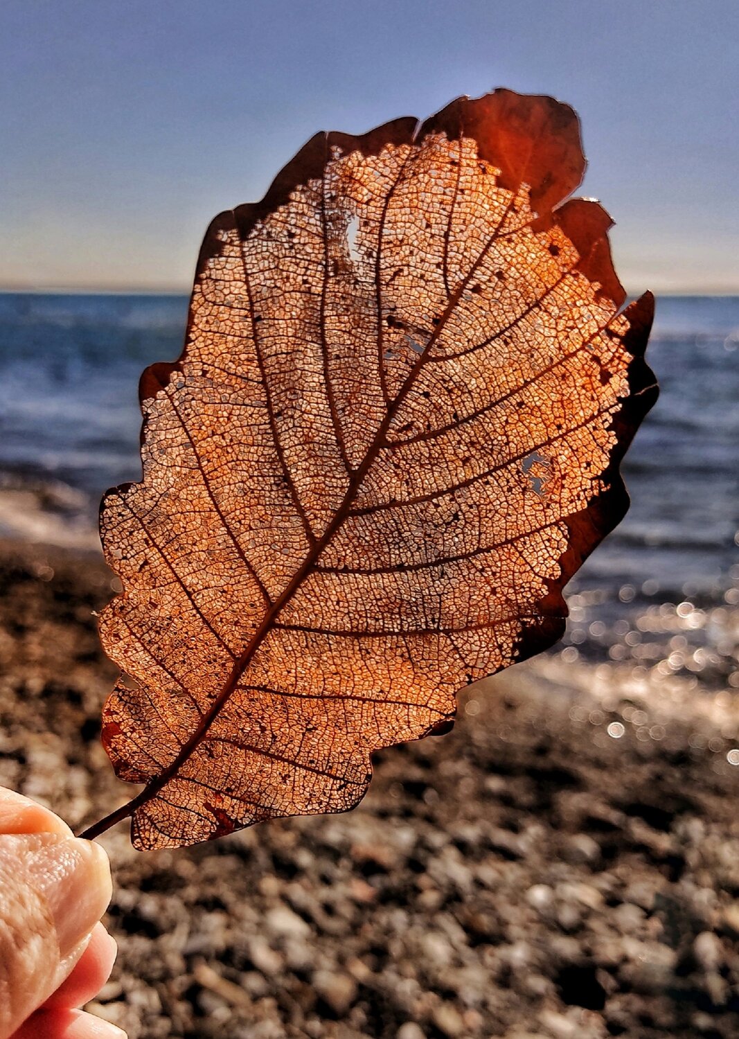 Photo #14087327