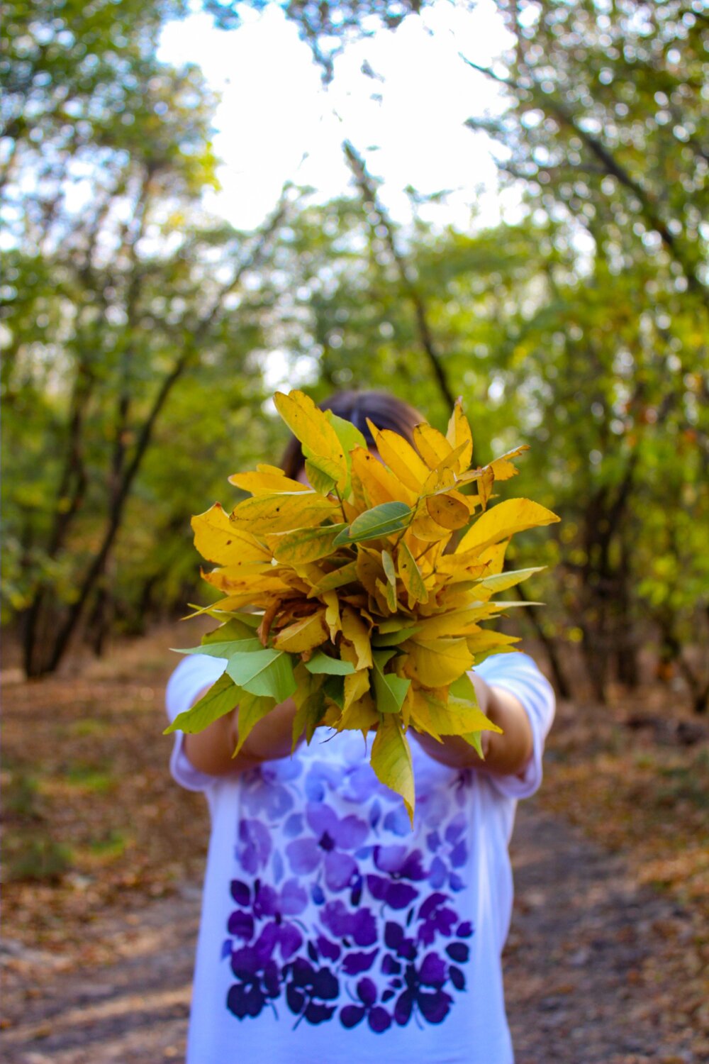 Photo #14087345