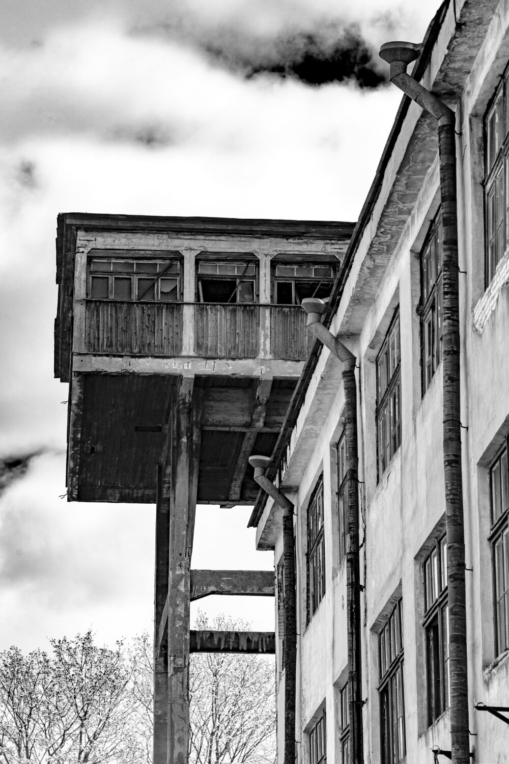 Photo #14087362