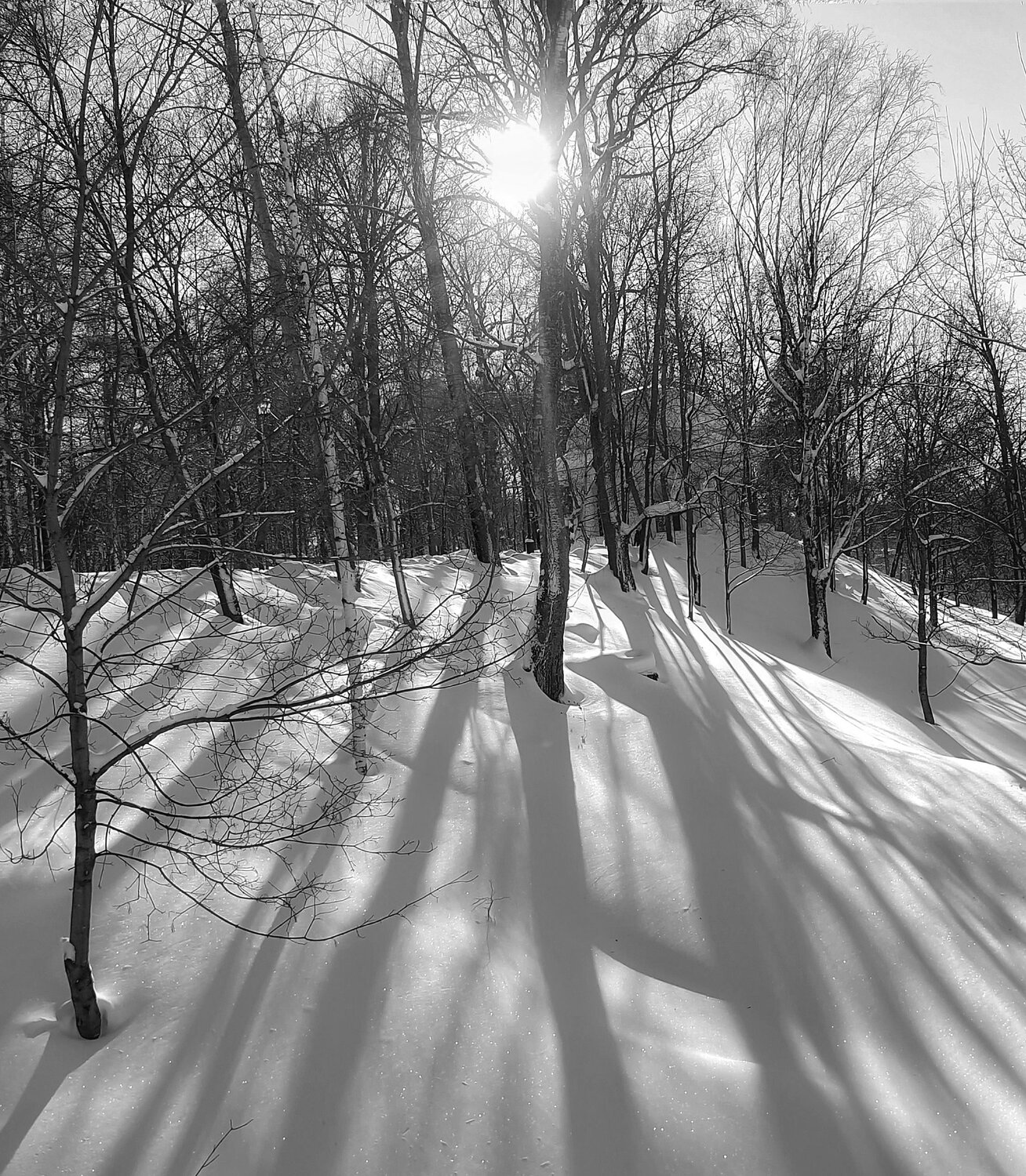 Photo #14087375