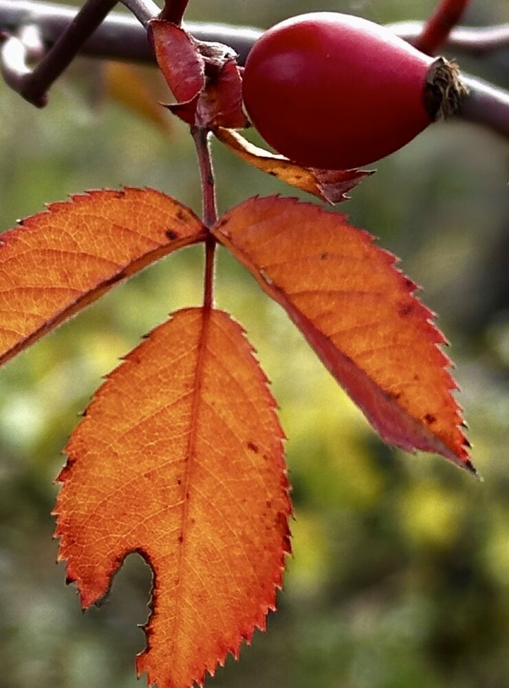 Photograph by Юлия