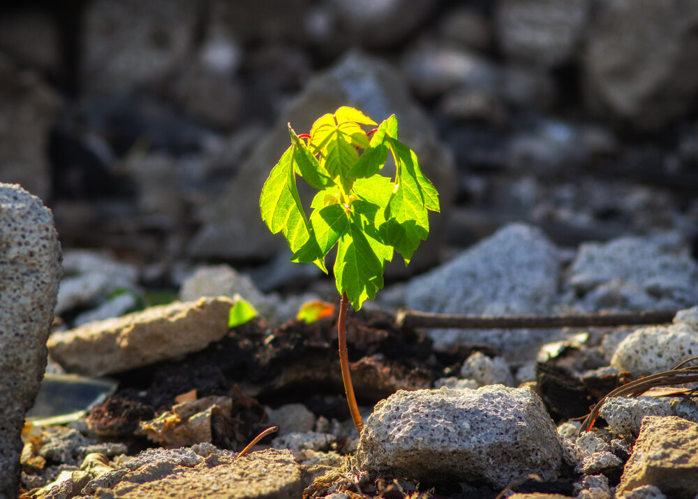 Photograph by Ирина Власова