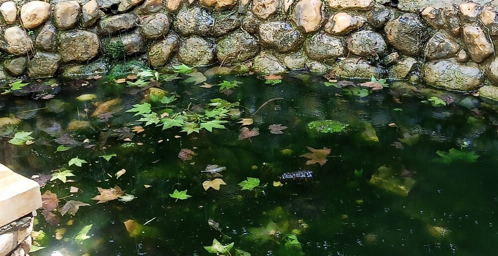Photograph by Елена
