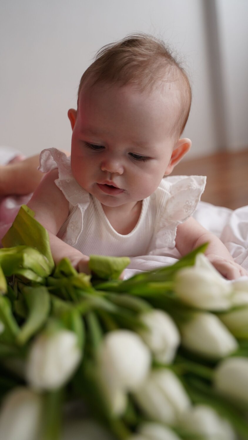 Photo #14087526