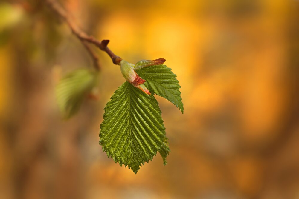 Photograph by Татьяна Бравая