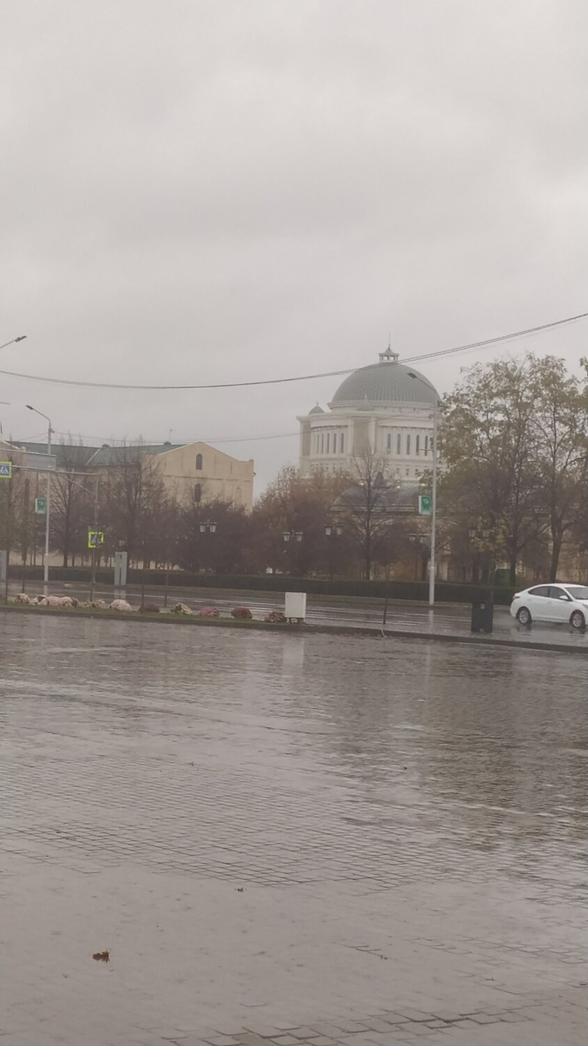 Photo #14087531