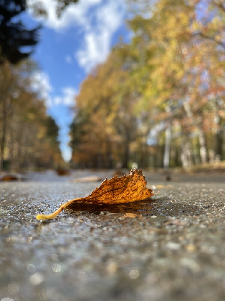 Photograph by Яна