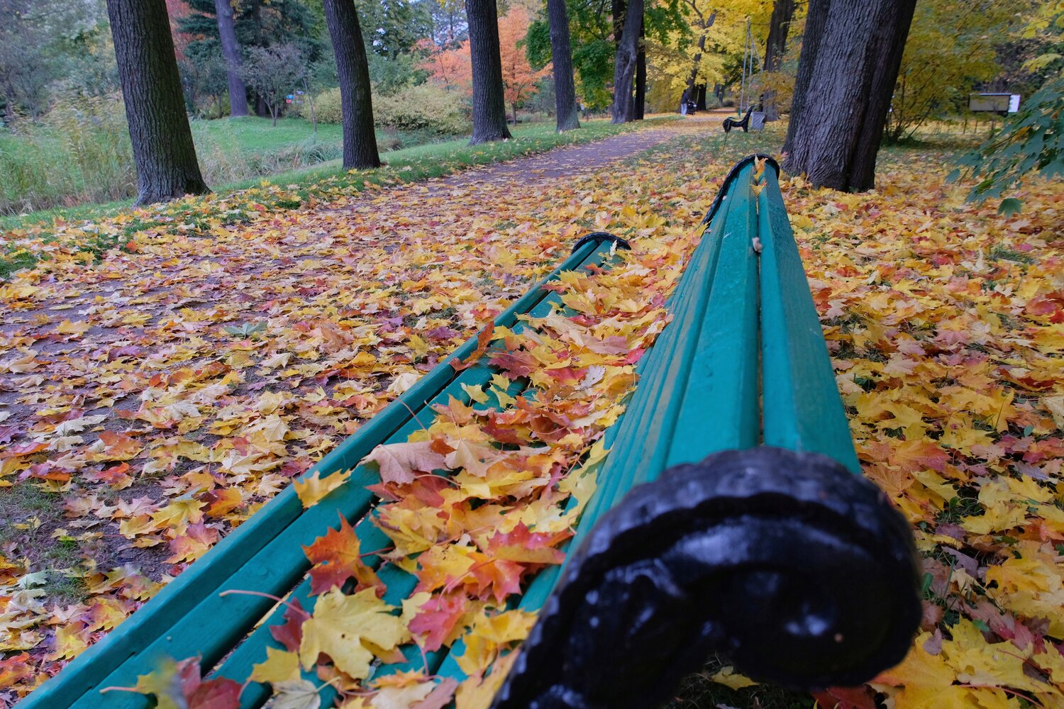 Photo #14087605