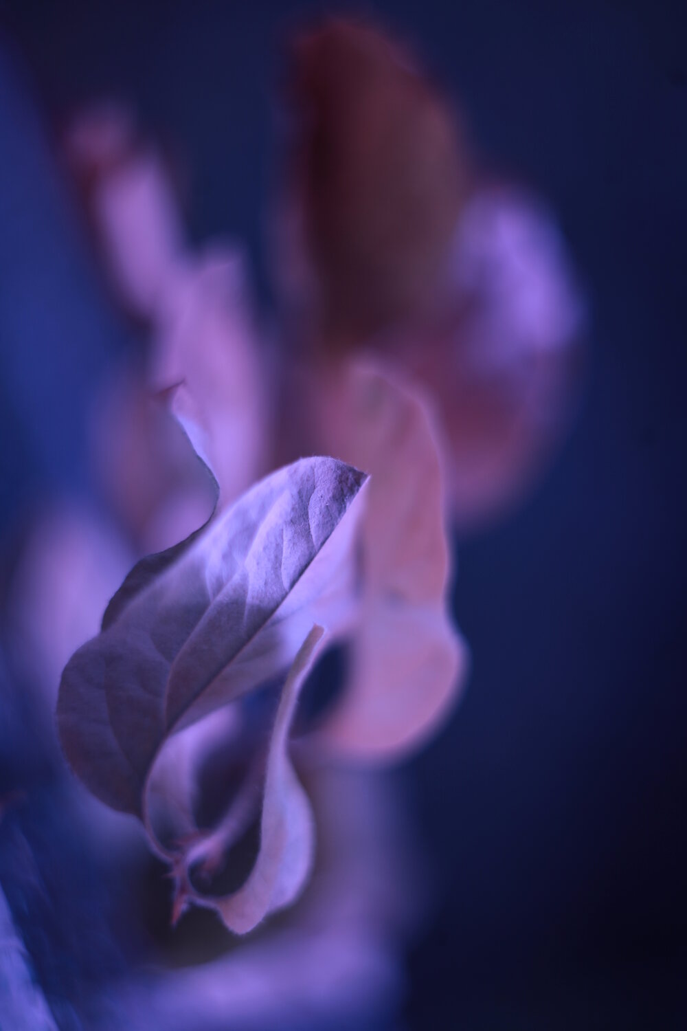 Photo #14087609