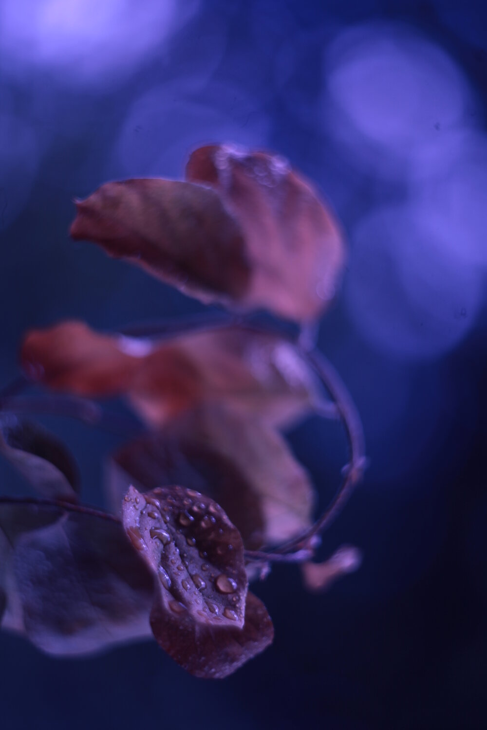 Photo #14087610