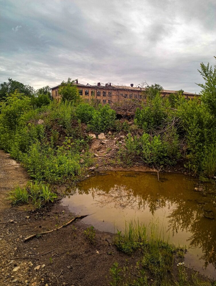 Photograph by Зюбрицкая Олеся