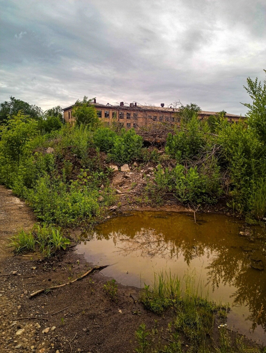 Photo #14087630