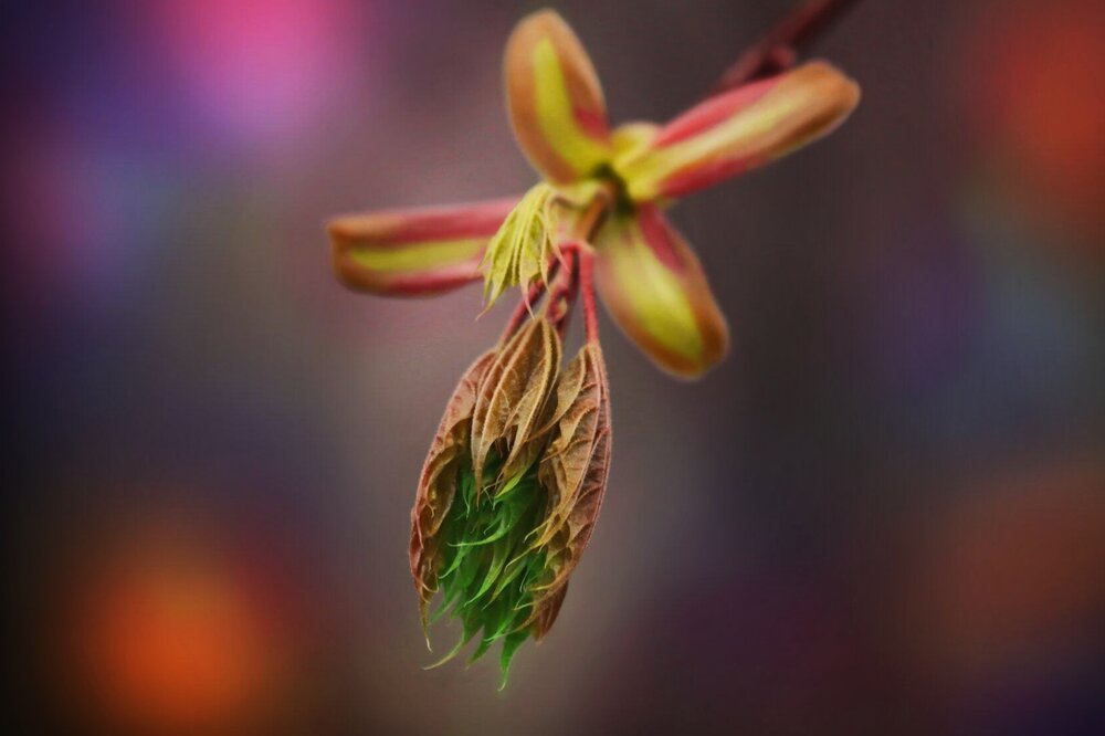 Photograph by Татьяна Бравая