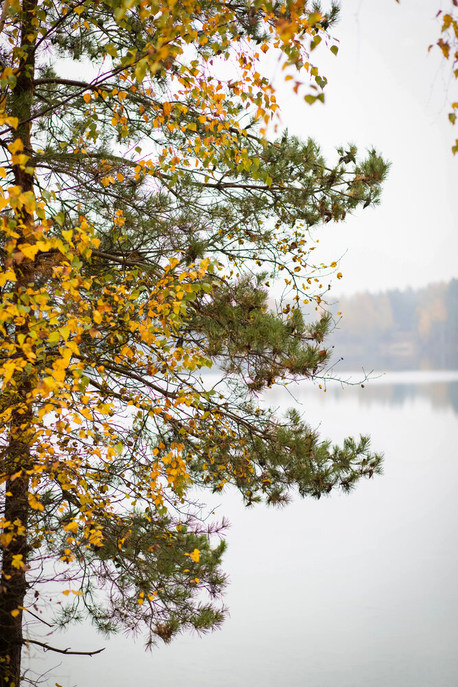 Photograph by Екатерина Степанцева