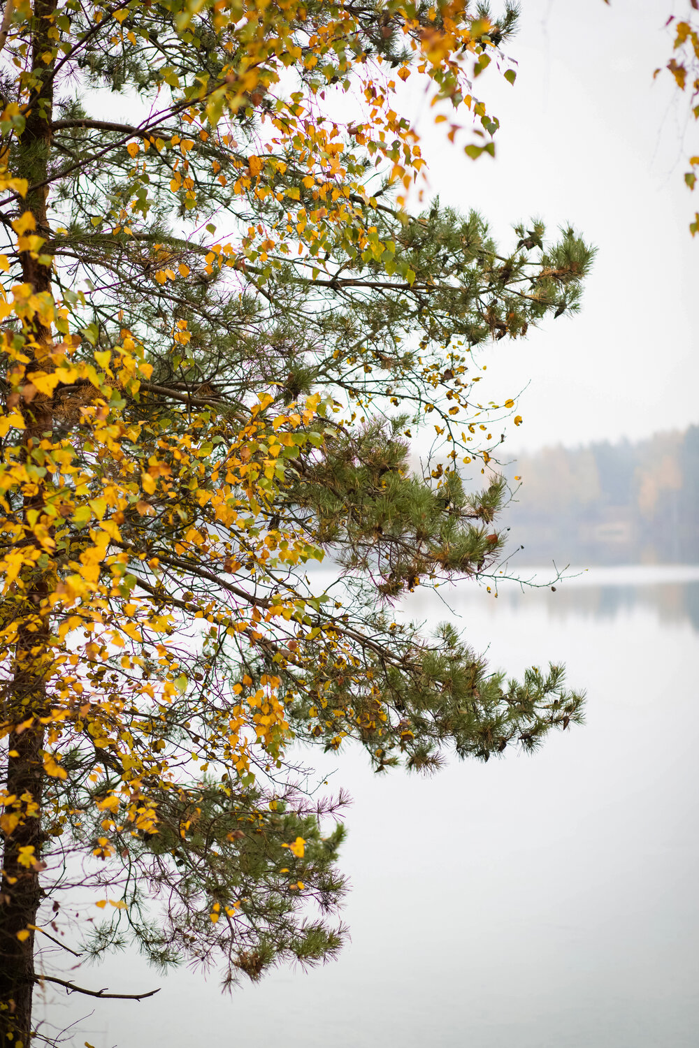 Photo #14087662
