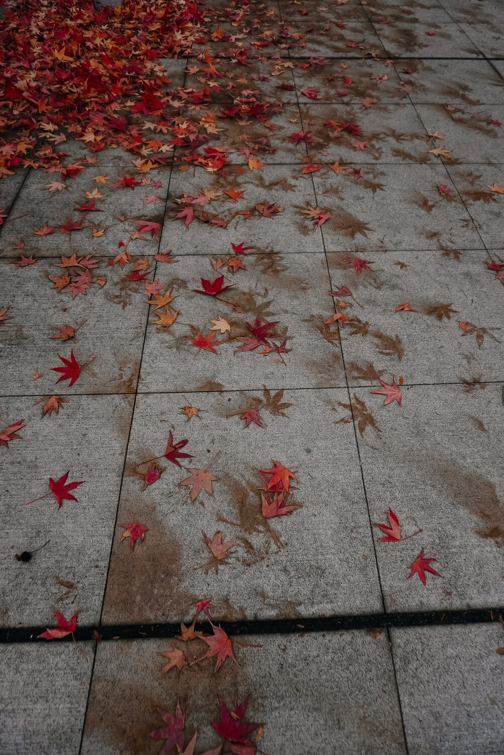 Photo #14087677