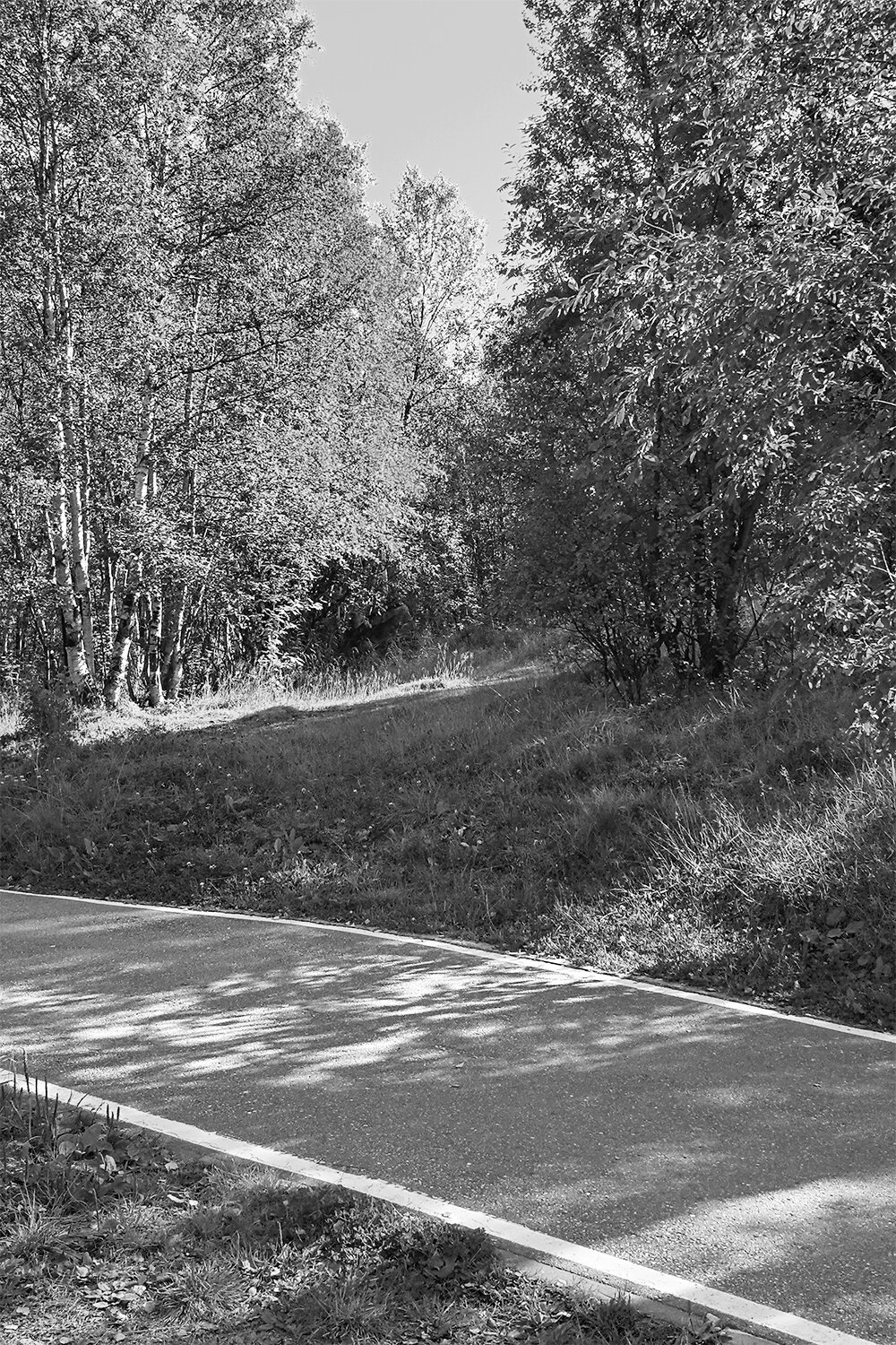 Photo #14087742