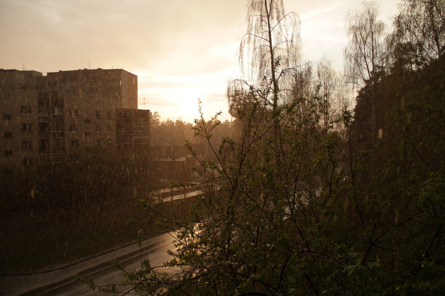 Photo #14087762