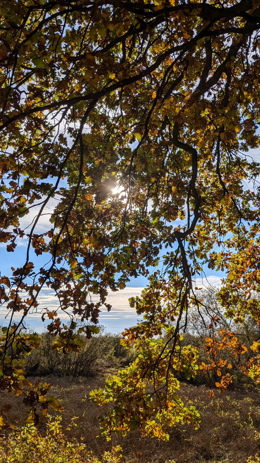 Photo #14087778