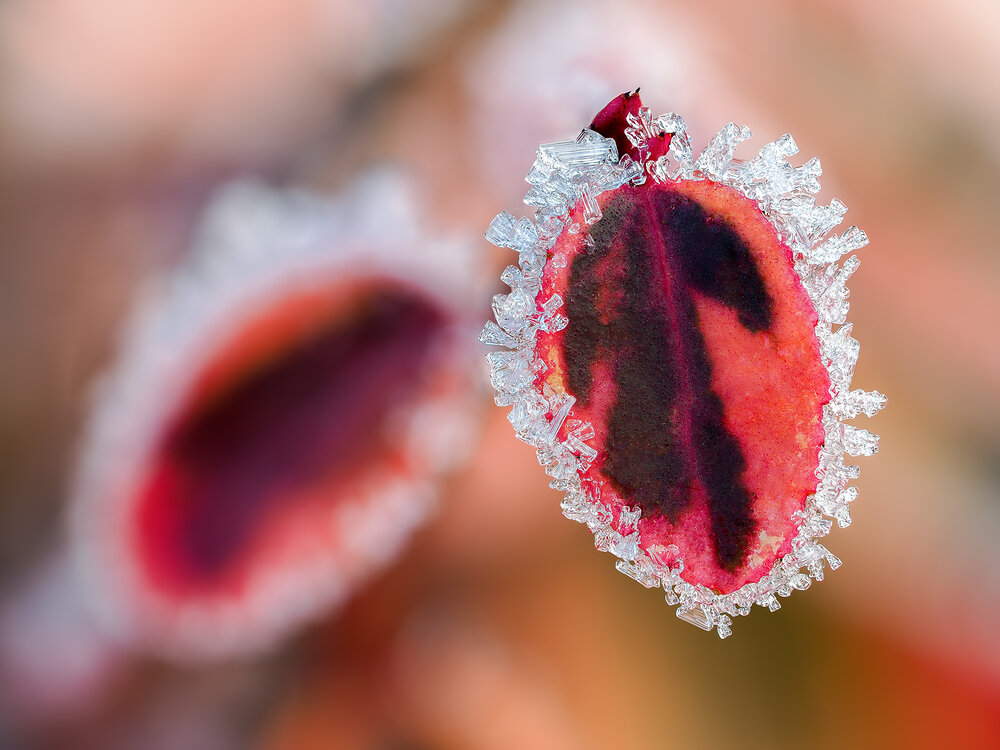 Photograph by Ireneusz Irass Walędzik