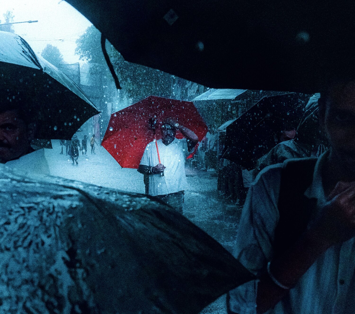 Photo #14088000