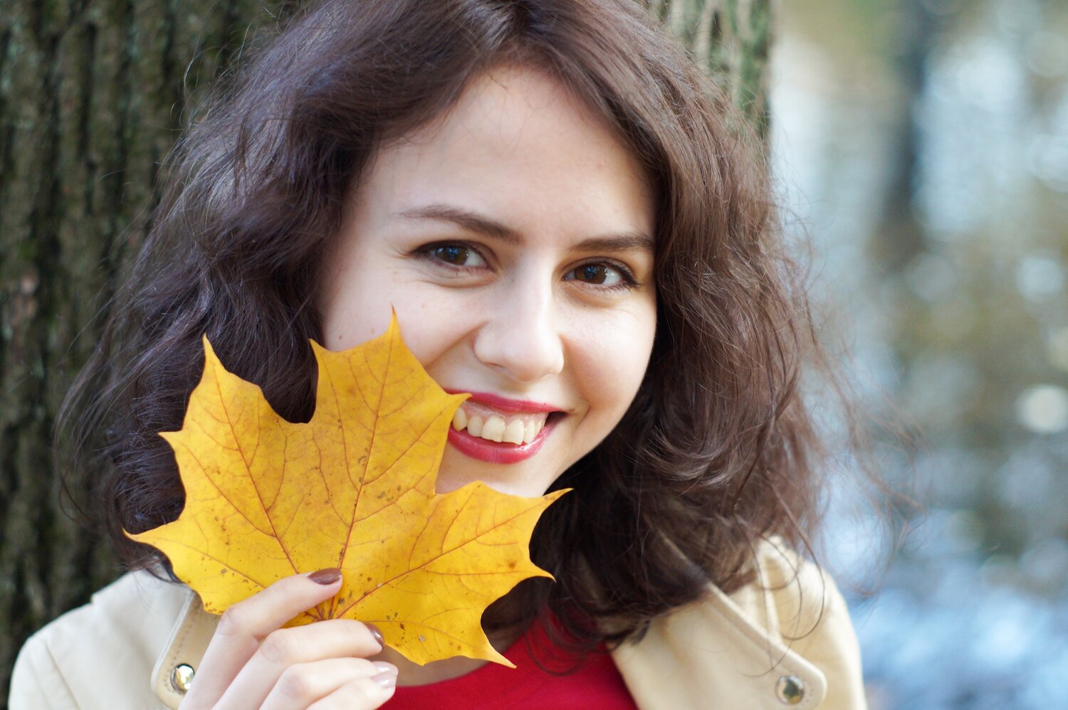 Photo #14088060