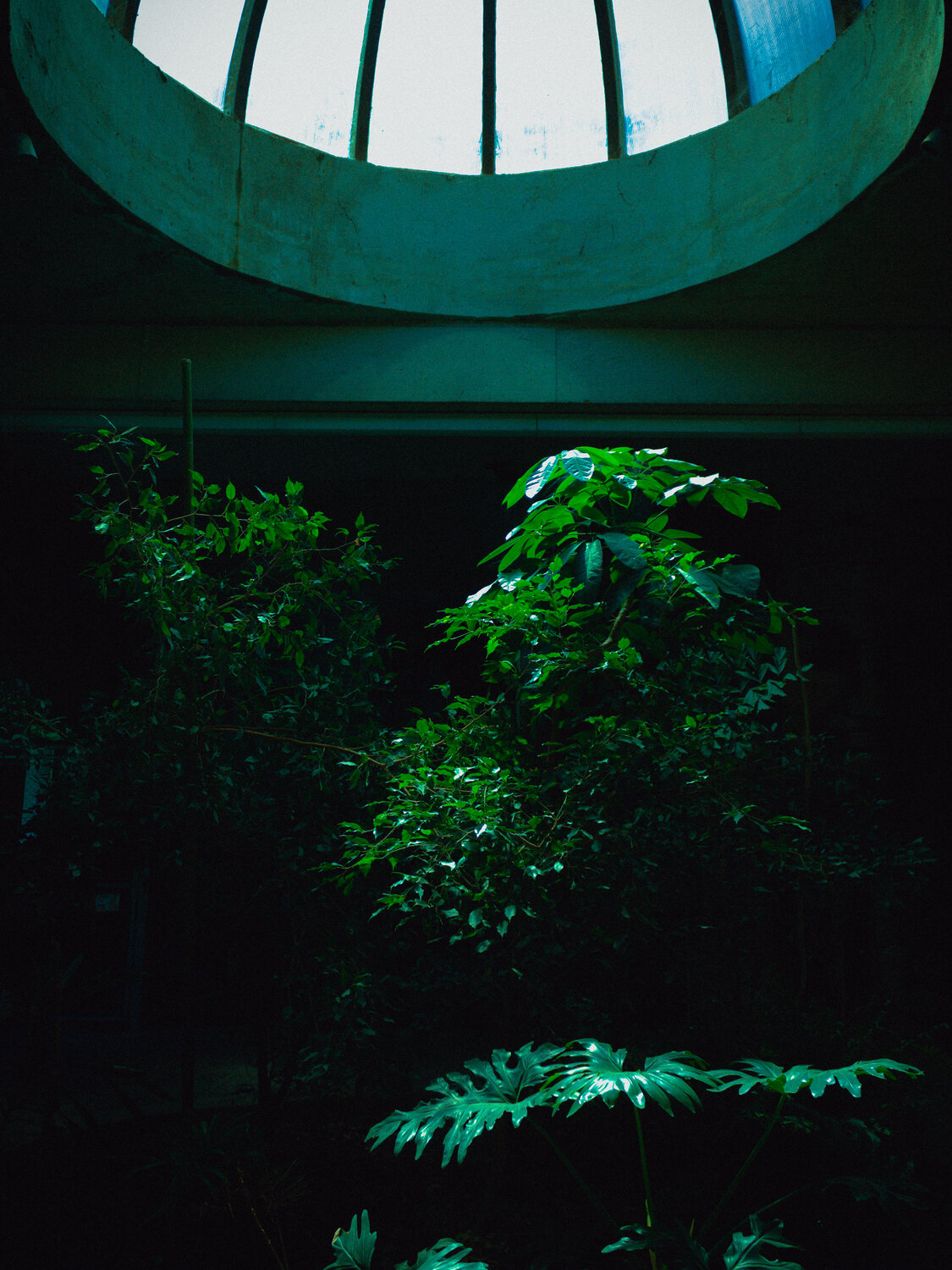 Photo #14088090