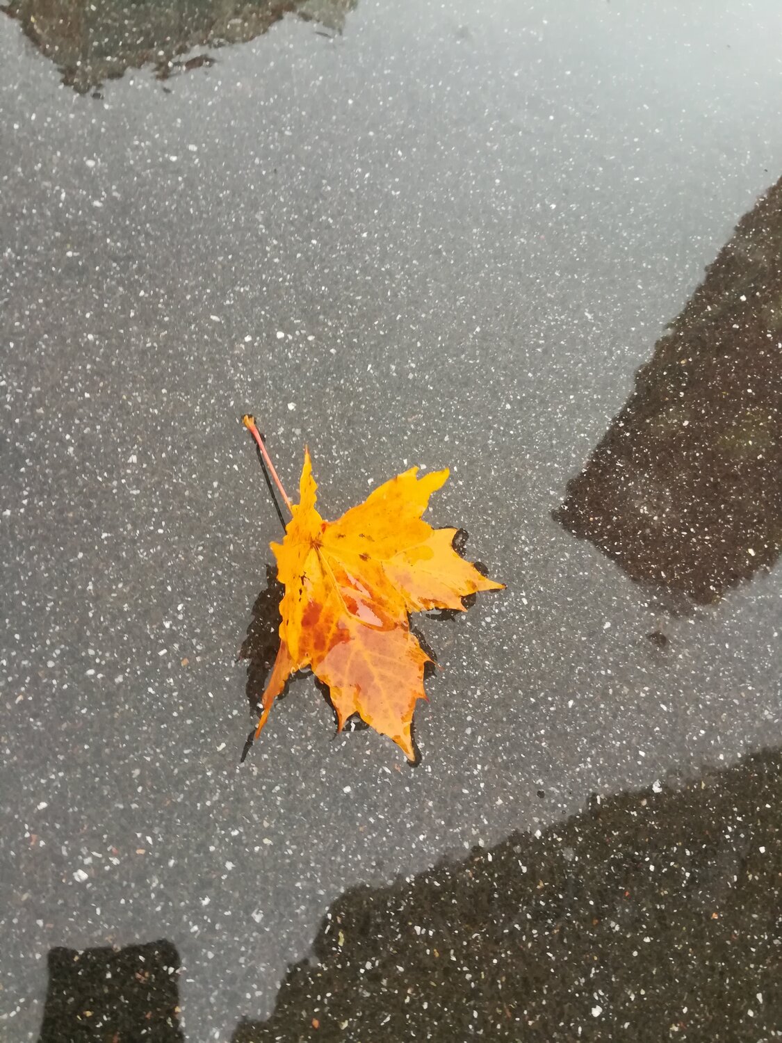 Photo #14088137