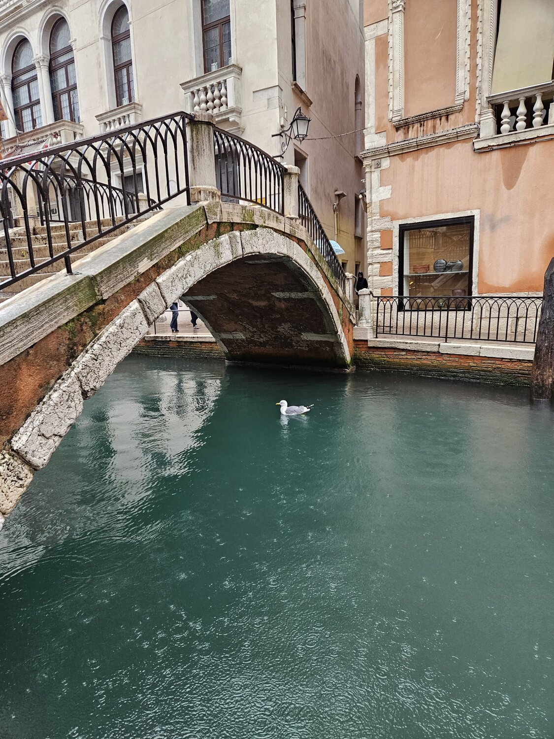 Photo #14088217