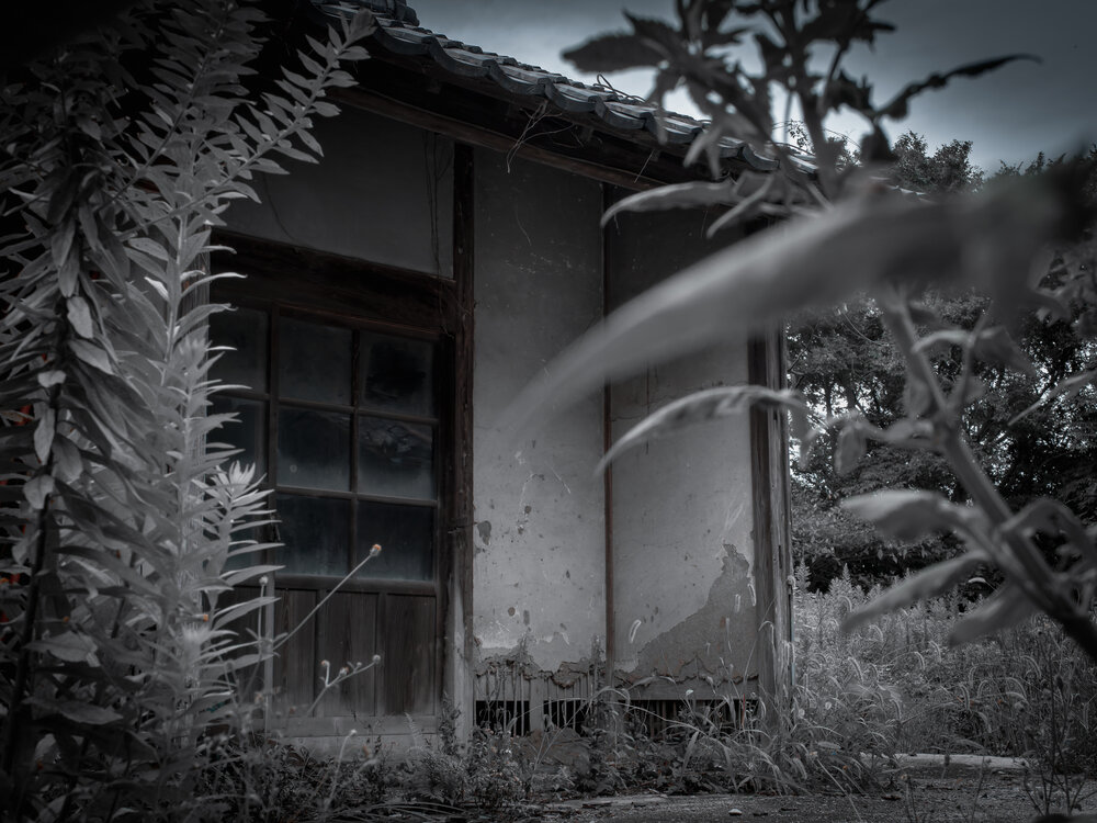 Фотография автора KOHAGI