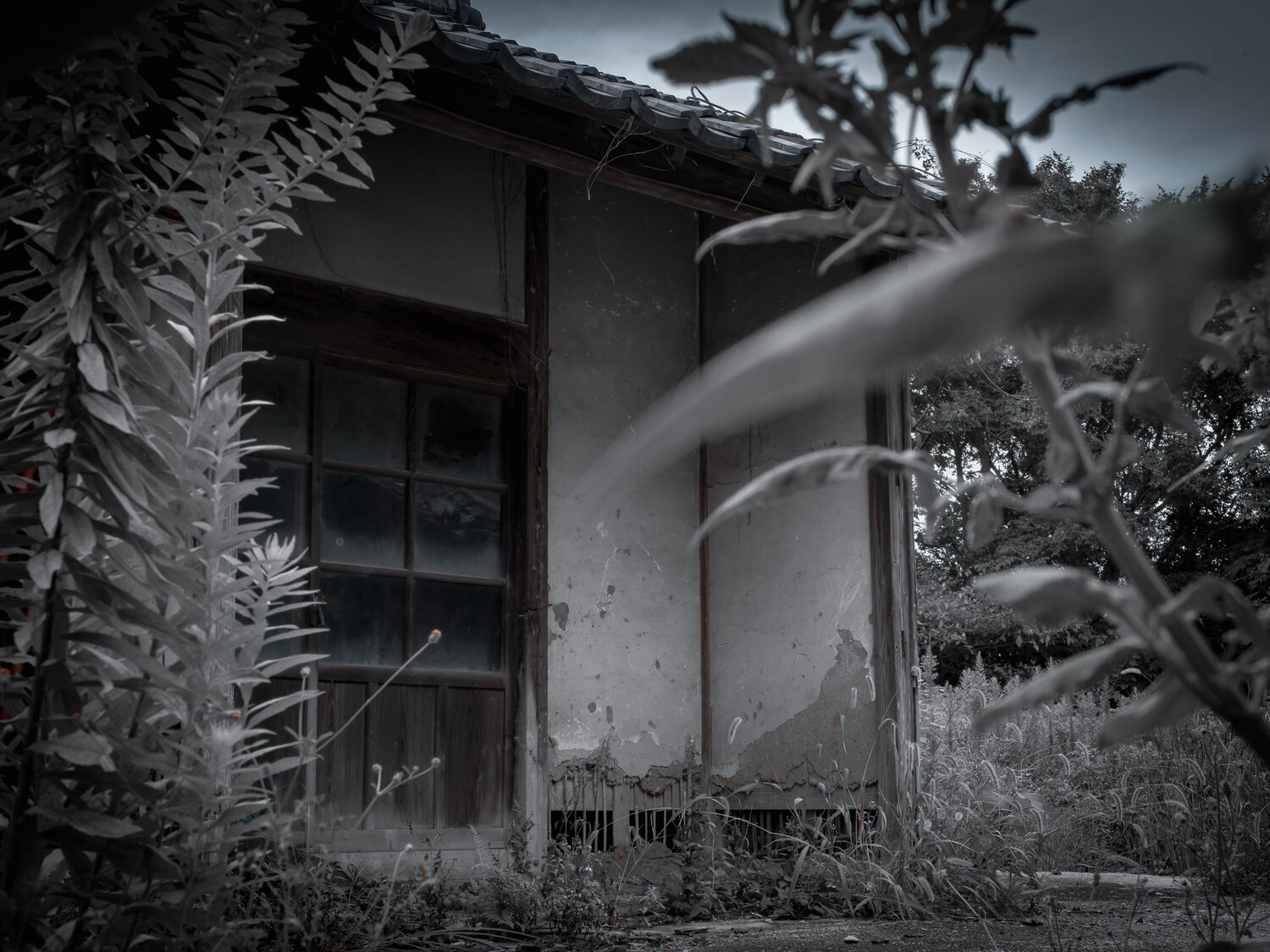 Photo #14088292