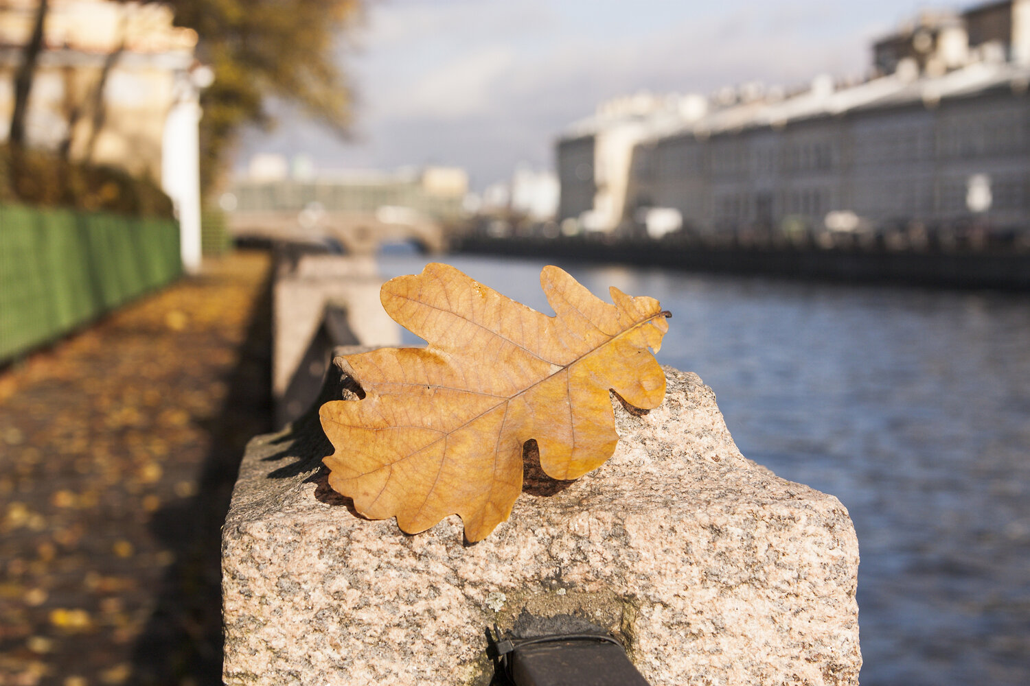 Photo #14088323