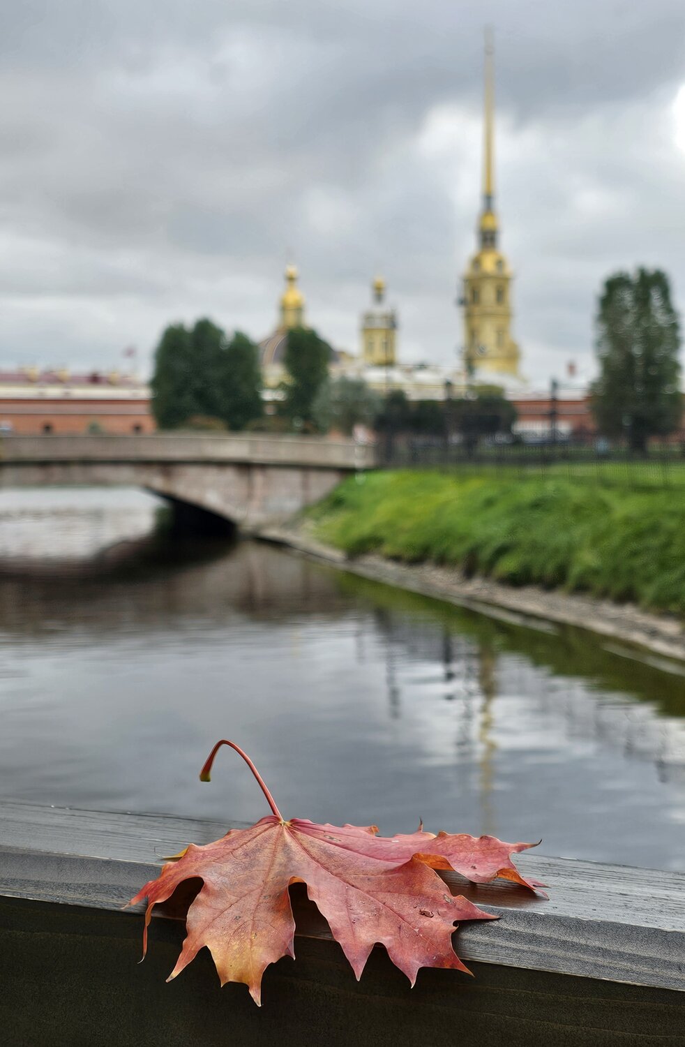 Фотография #14088430