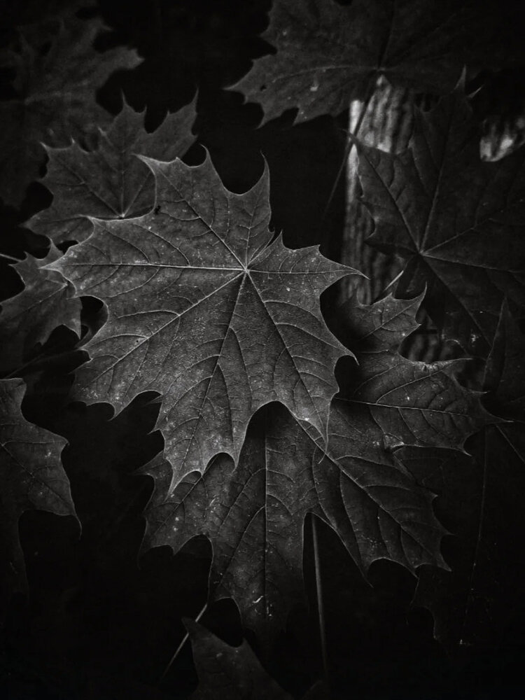 Photograph by Дарья Макаревич