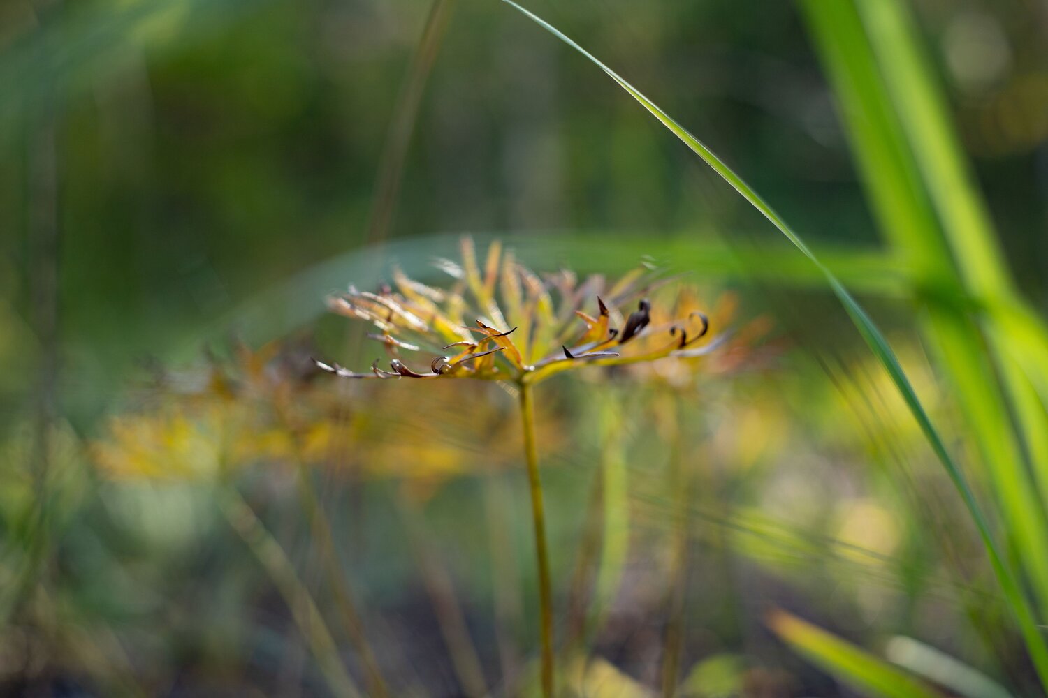 Photo #14088442