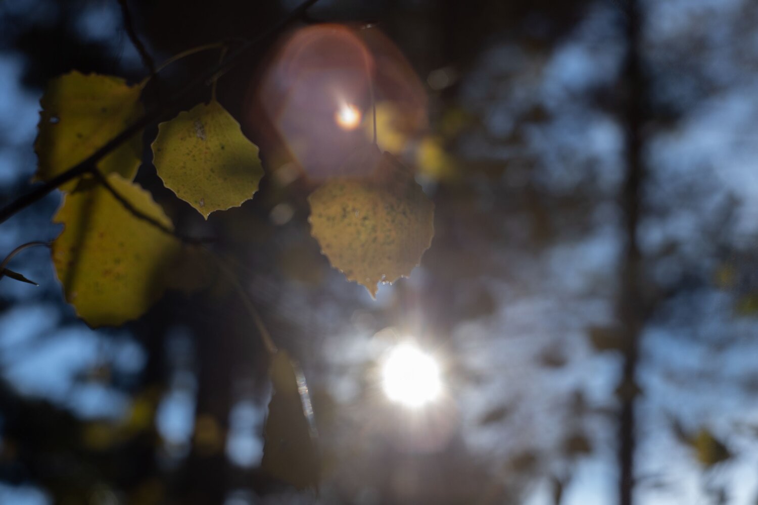 Photo #14088445