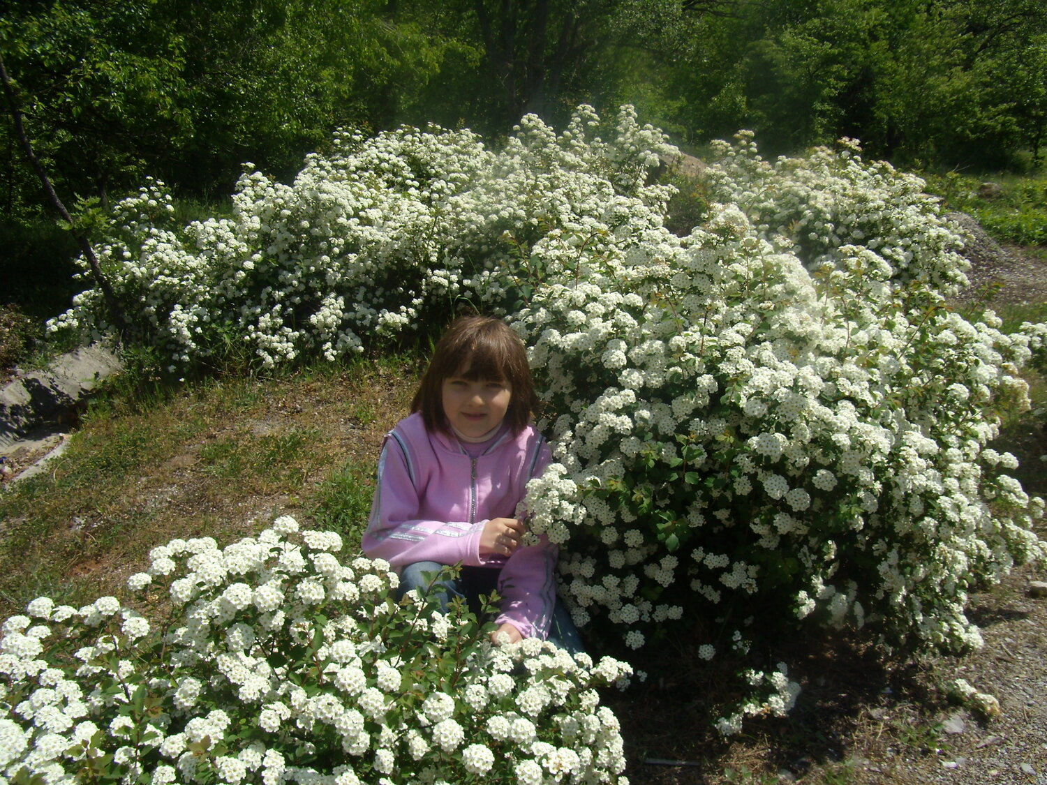 Photo #14088484