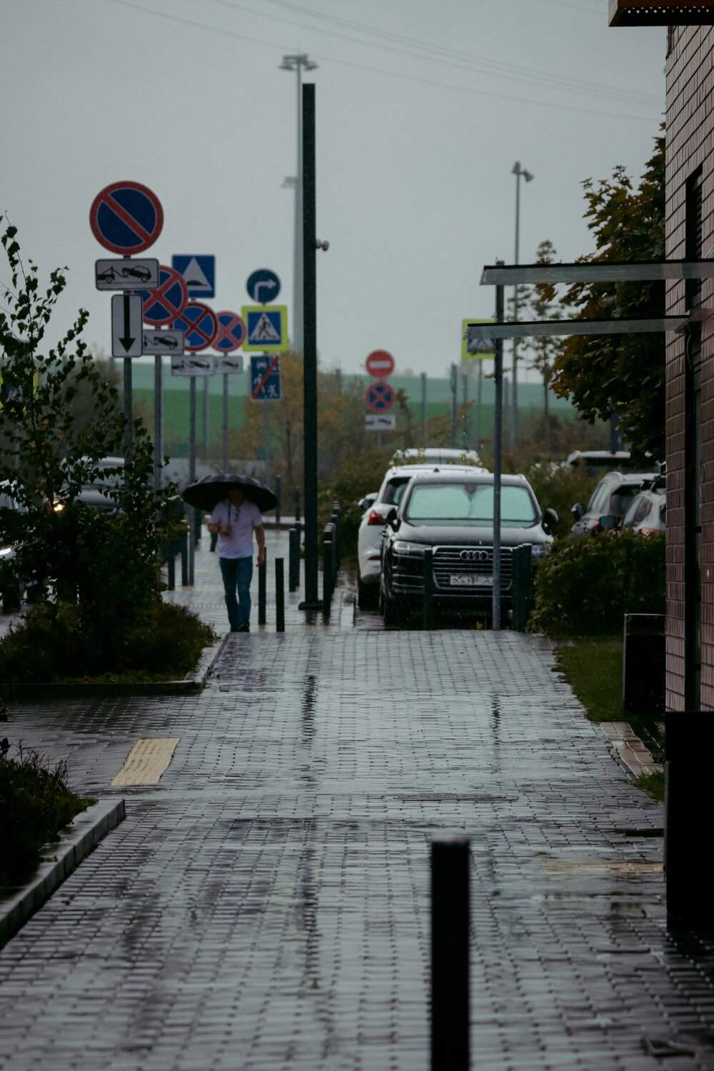 Photo #14088518