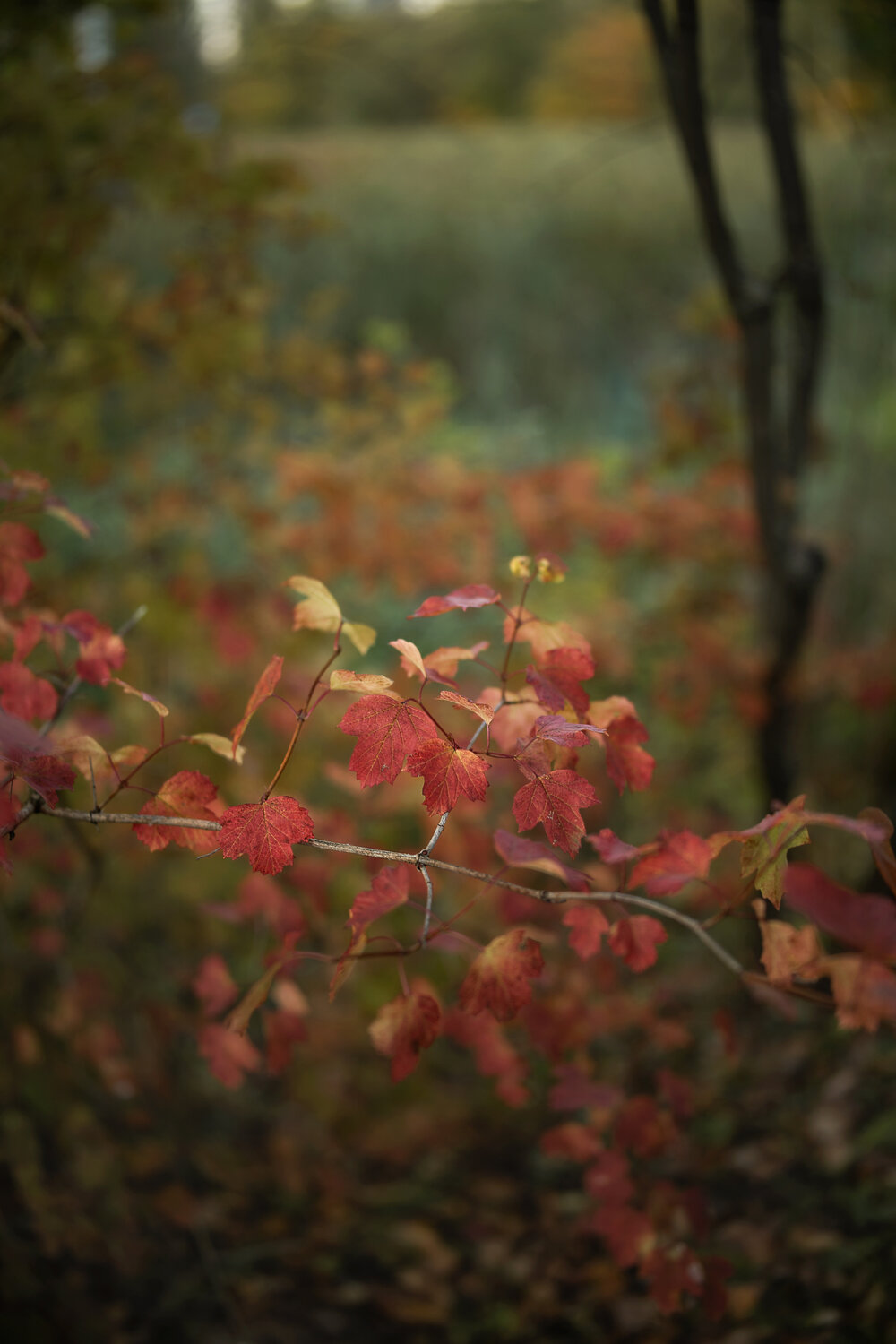 Photo #14088539
