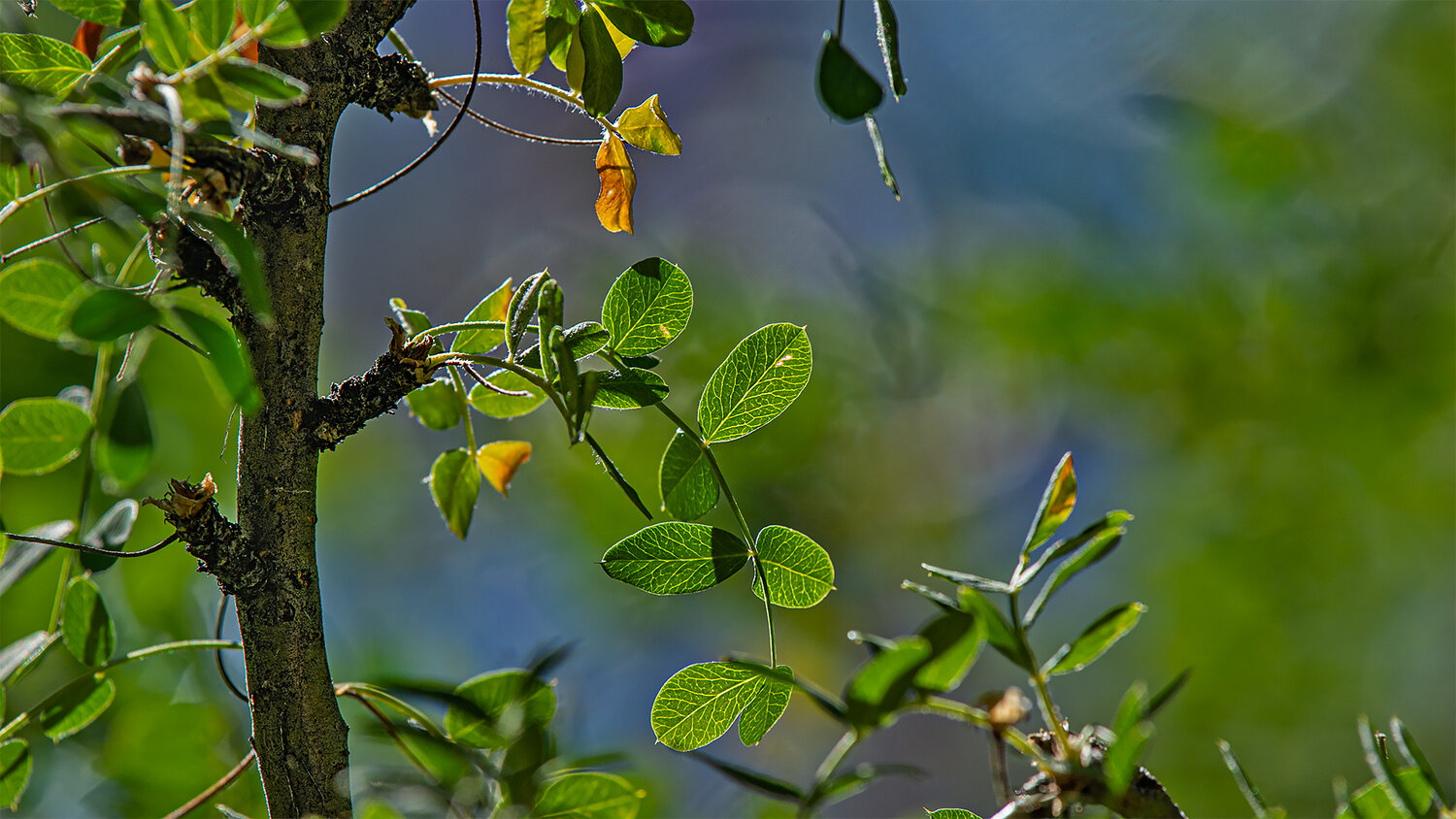 Photo #14088581