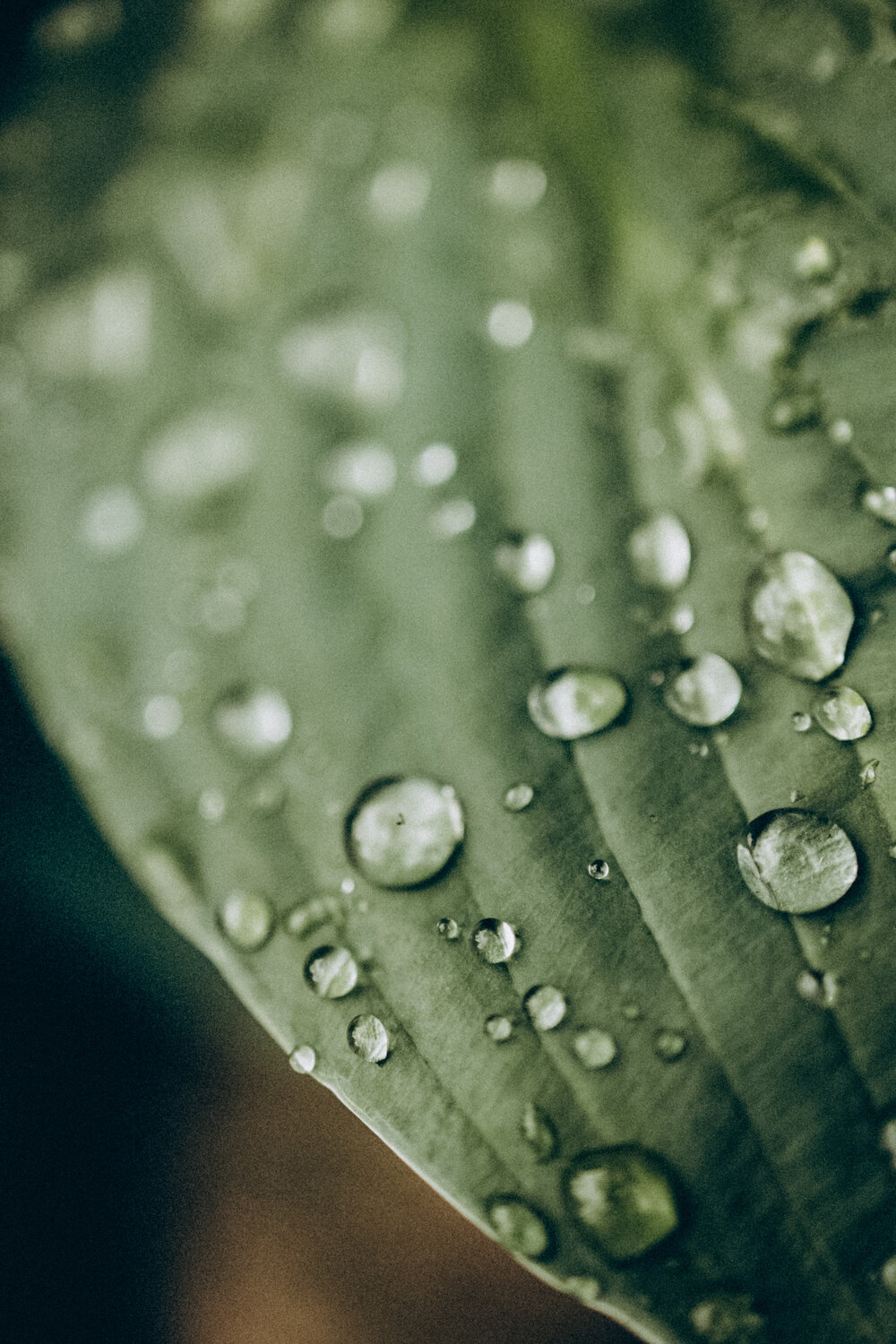 Photo #14088677